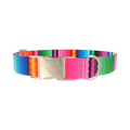 Wavy Rainbow Stripe Dog Collar - metal gold