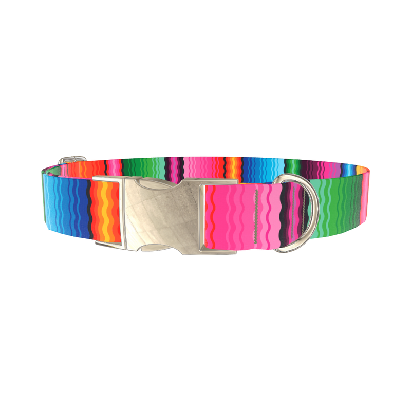 Wavy Rainbow Stripe Dog Collar - metal gold