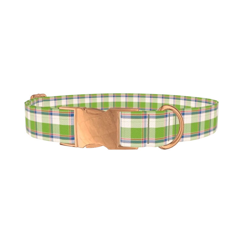Multicolor Tartan Dog Collar - metal rose gold