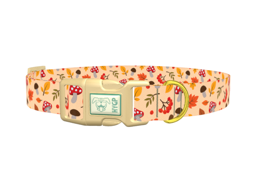 Autumn Leaves and Mushrooms Dog Collar