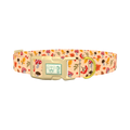 Autumn Leaves and Mushrooms Dog Collar - plastic gold