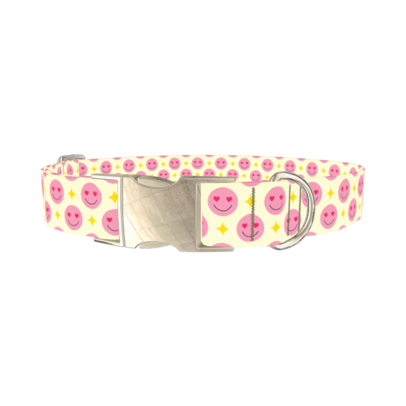 Valentine Smiley Dog Collar - metal silver