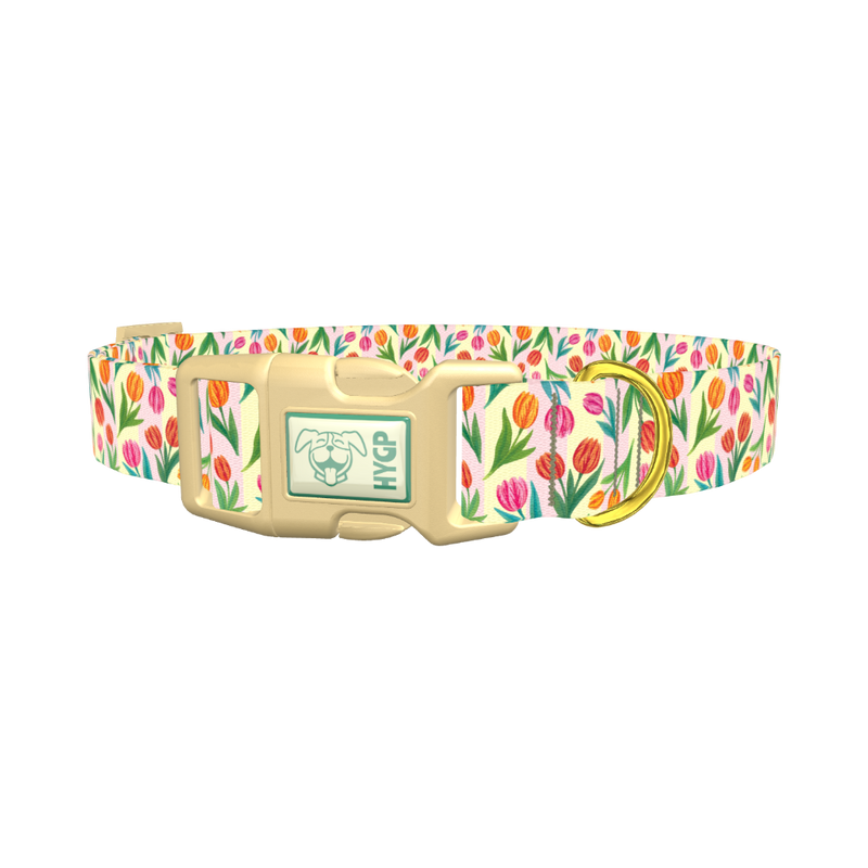 Floral Tulip Stripes Dog Collar - plastic gold