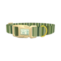 Green Striped Pattern Dog Collar - plastic gold