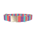 Color Block Stripes Dog Collar - metal silver