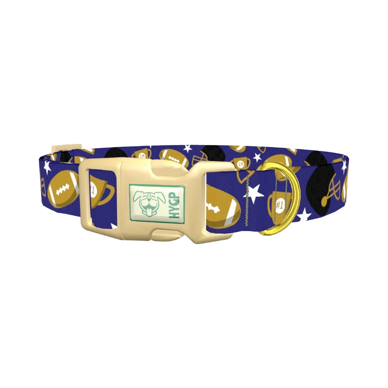 Purple Football Trophy Dog Collar - plastic gold