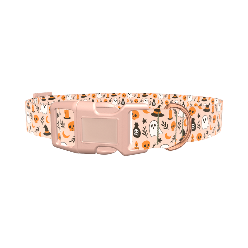 Spooky Potion Halloween Dog Collar - plastic silver