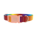 Rainbow Gradient Dog Collar - plastic rose gold