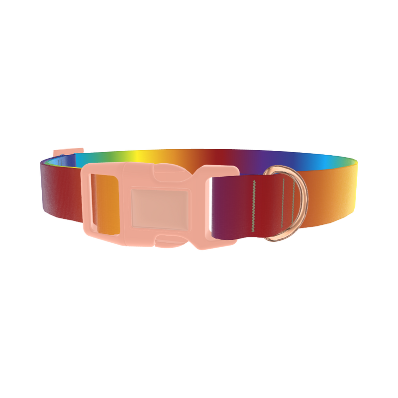Rainbow Gradient Dog Collar - plastic rose gold