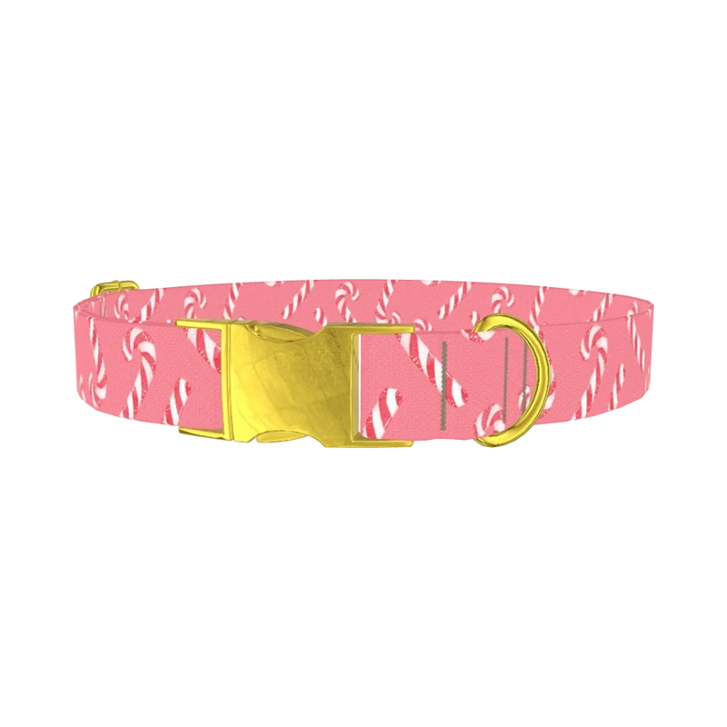 Pink Candy Cane Dog Collar - metal gold