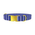 Blue Stripe Dog Collar - metal gold