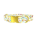 Birthday Boy Celebration Dog Collar - metal gold