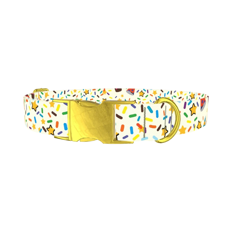Birthday Boy Celebration Dog Collar - metal gold