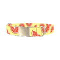 Citrus Fruit Dog Collar - metal silver