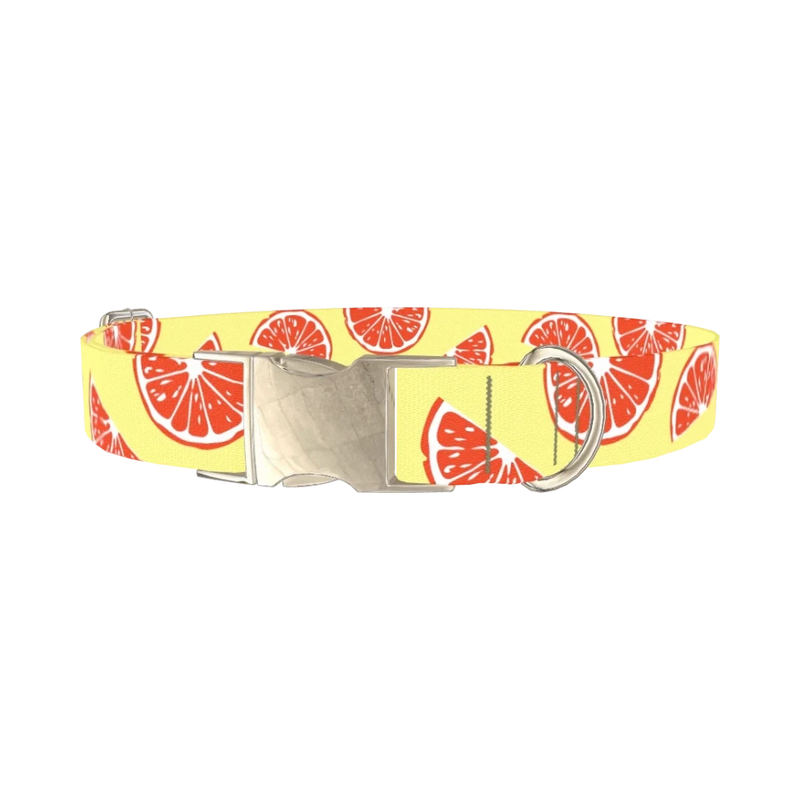 Citrus Fruit Dog Collar - metal silver