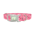 Western Holly Dog Collar - plastic silver