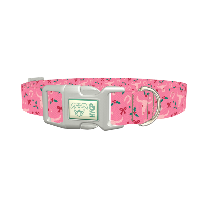 Western Holly Dog Collar - plastic silver