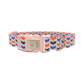 Colorful Bat Pattern Dog Collar - plastic silver
