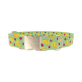 Fruit Pattern Dog Collar - Thumbnail 3