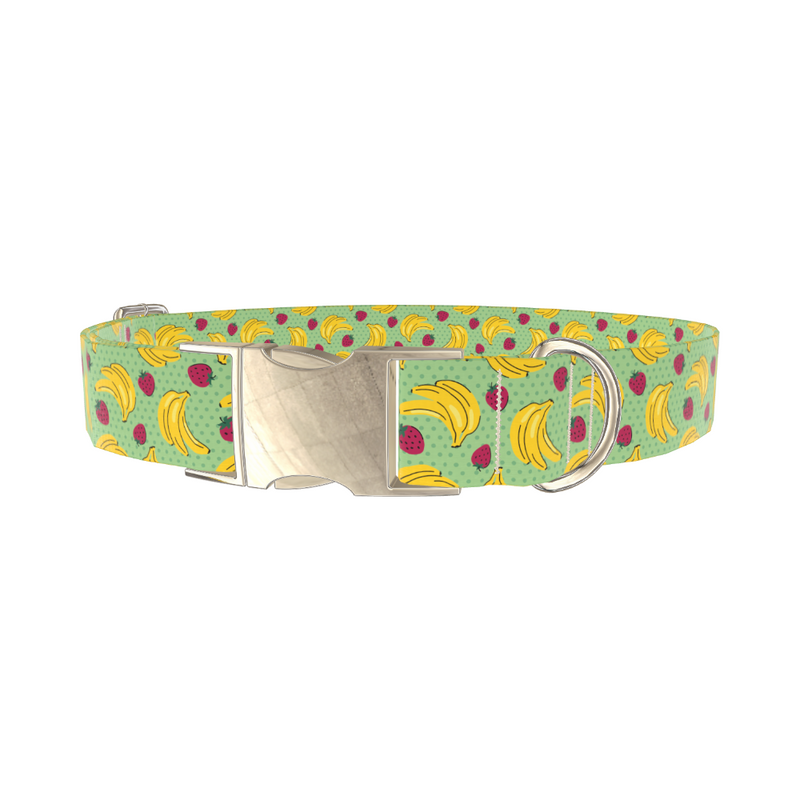 Fruit Pattern Dog Collar