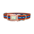 Rainbow Geometric Dog Collar - plastic rose gold