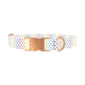 Rainbow Polka Dot Dog Collar - metal rose gold