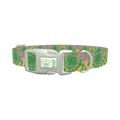Tie Dye Spiral Dog Collar - plastic silver