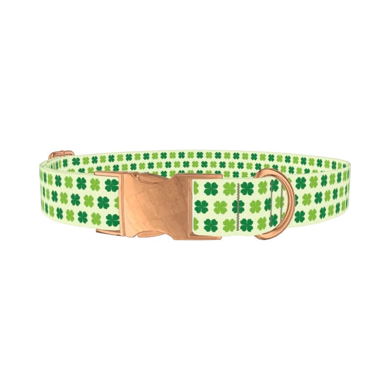Four Leaf Clover Dog Collar - metal rose gold