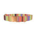 Green Striped Dog Collar - metal rose gold