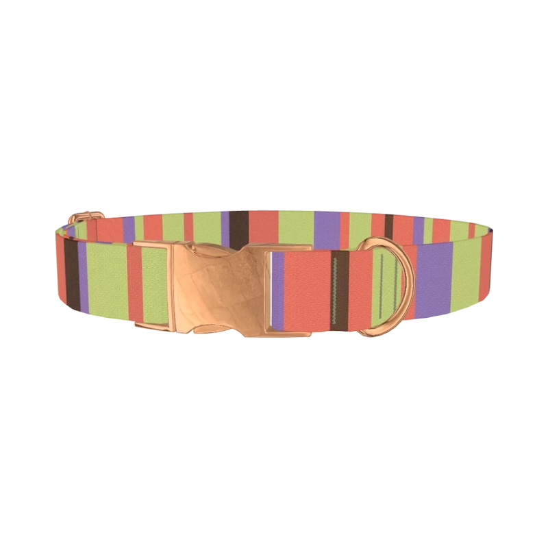 Green Striped Dog Collar - metal rose gold