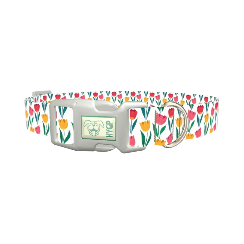Colorful Tulip Dog Collar - plastic silver