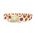 Tomato Pattern Dog Collar - plastic gold