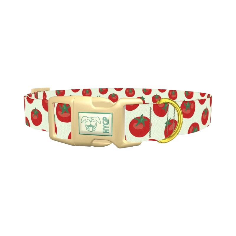 Tomato Pattern Dog Collar - plastic gold