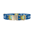 Conch Republic Star Dog Collar - metal silver