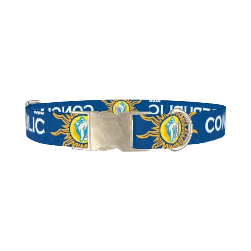 Conch Republic Star Dog Collar - metal silver