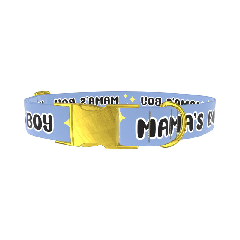 Mamas Boy Dog Collar - metal gold