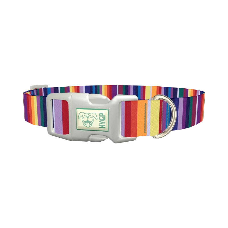 Colorful Mexican Stripe Dog Collar - plastic silver