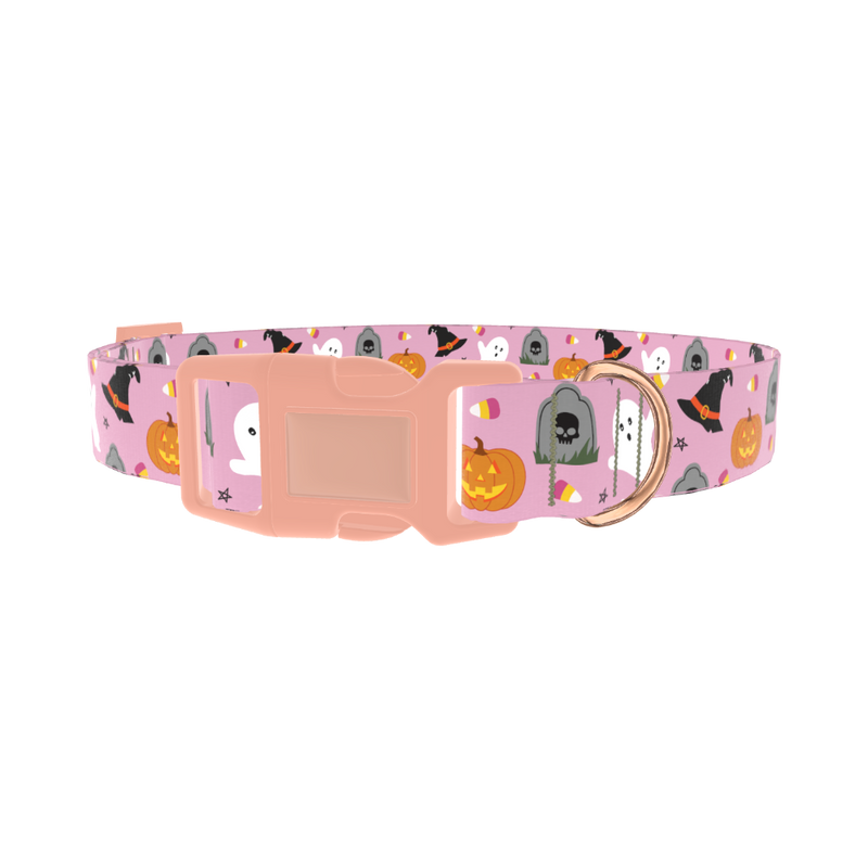 Halloween Trick or Treat Dog Collar - plastic rose gold