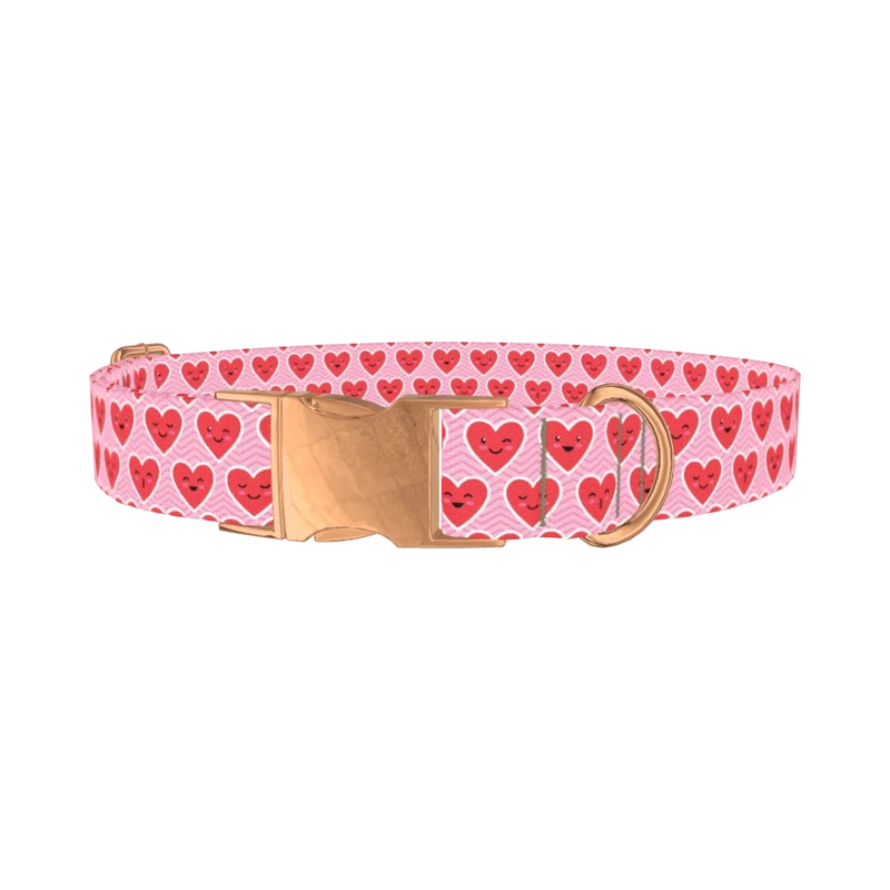 Kawaii Hearts Dog Collar - metal rose gold