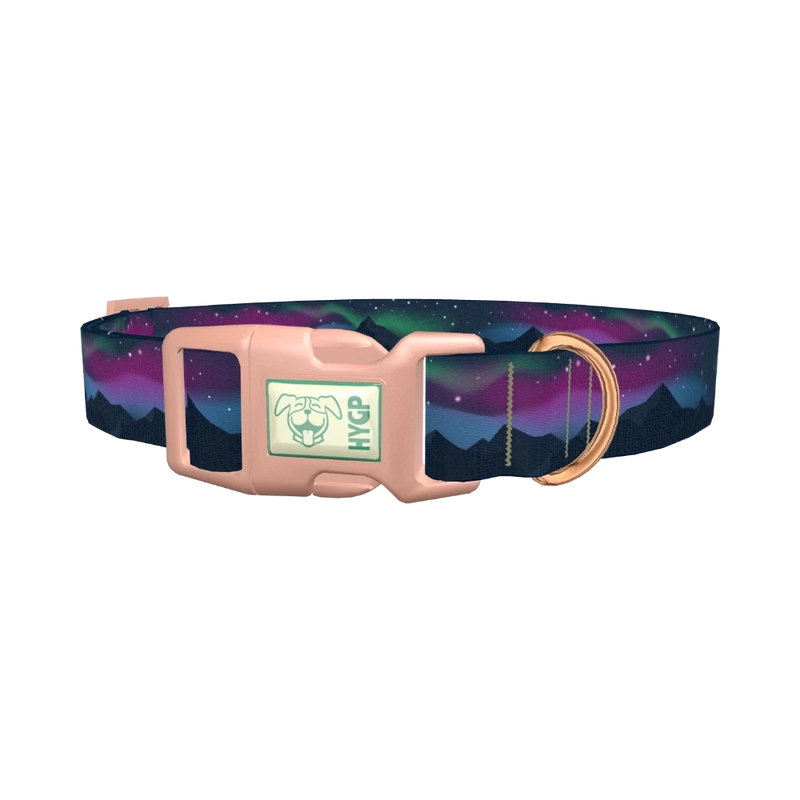 Northern Lights Dog Collar - plastic rose gold