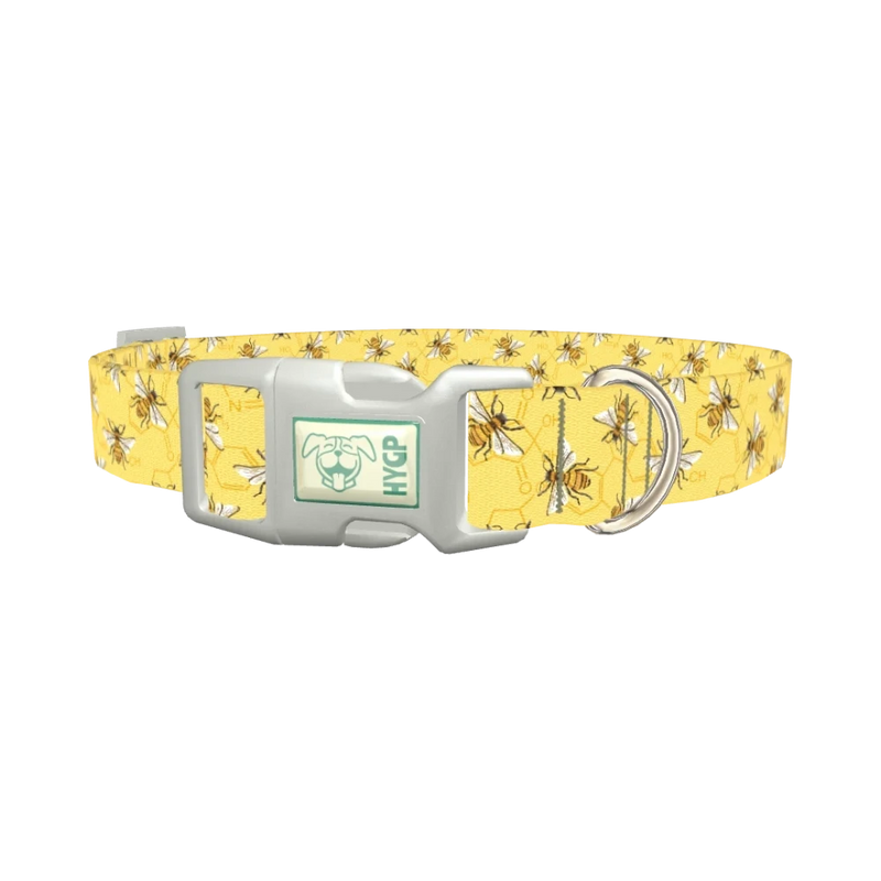 Bee Science Dog Collar - plastic silver