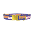 Birthday Text Dog Collar - metal gold