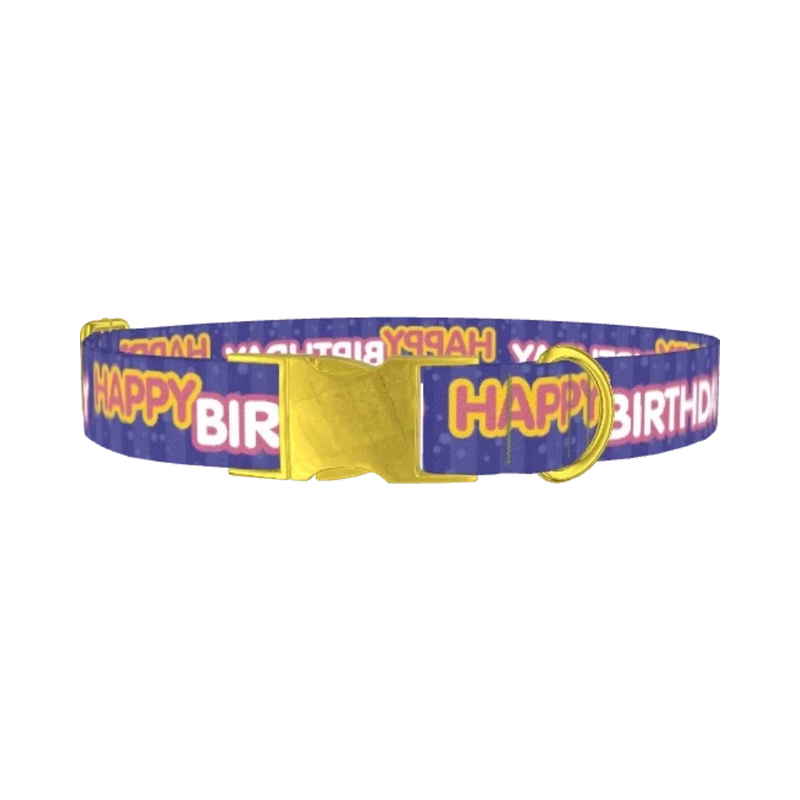 Birthday Text Dog Collar - metal gold