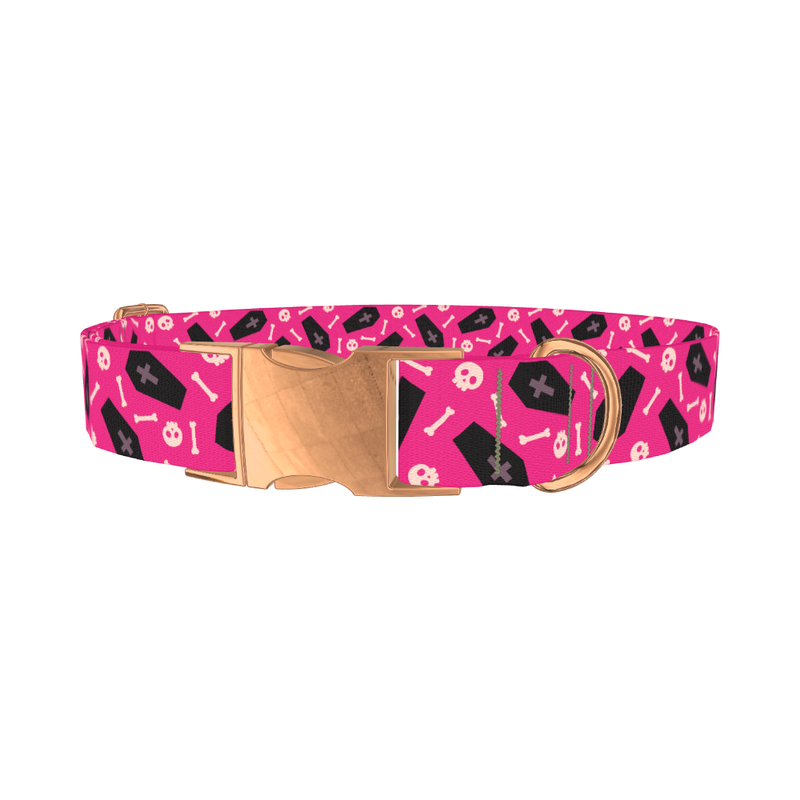 Halloween Coffins Dog Collar - metal rose gold