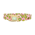 Pink Kiwi Pattern Dog Collar - plastic gold