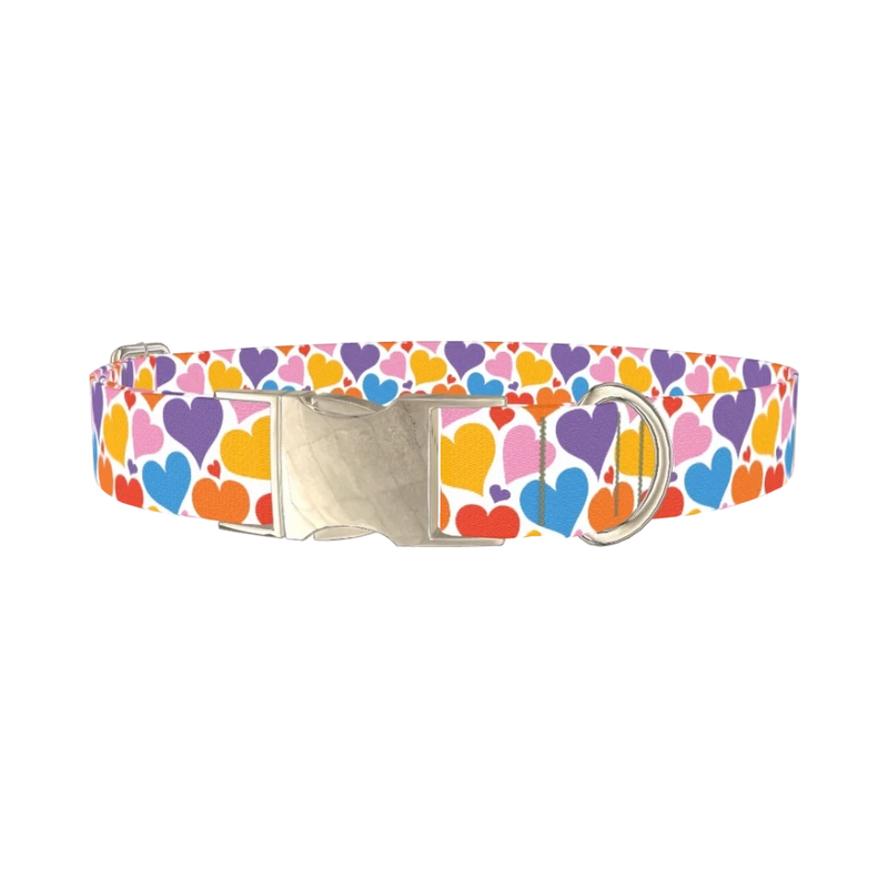 Multicolor Heart Dog Collar - metal silver