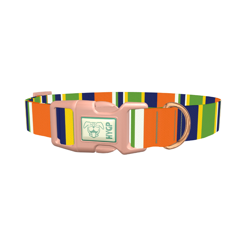Striped Dog Collar - plastic rose gold