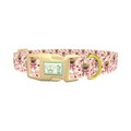  - plastic gold