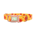 Peace Symbol Sunflower Dog Collar - plastic gold