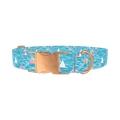 Sailboat Ocean Dog Collar - metal rose gold